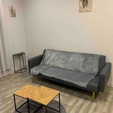 Chez Maryline-Joli T2 Spacieux Villeurbanne Exterior foto