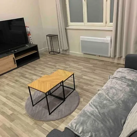 Chez Maryline-Joli T2 Spacieux Villeurbanne Exterior foto